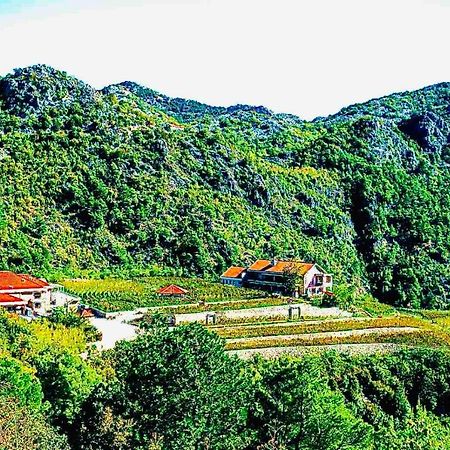 Eco Winery Lipovac Apartments Τσέτινιε Εξωτερικό φωτογραφία