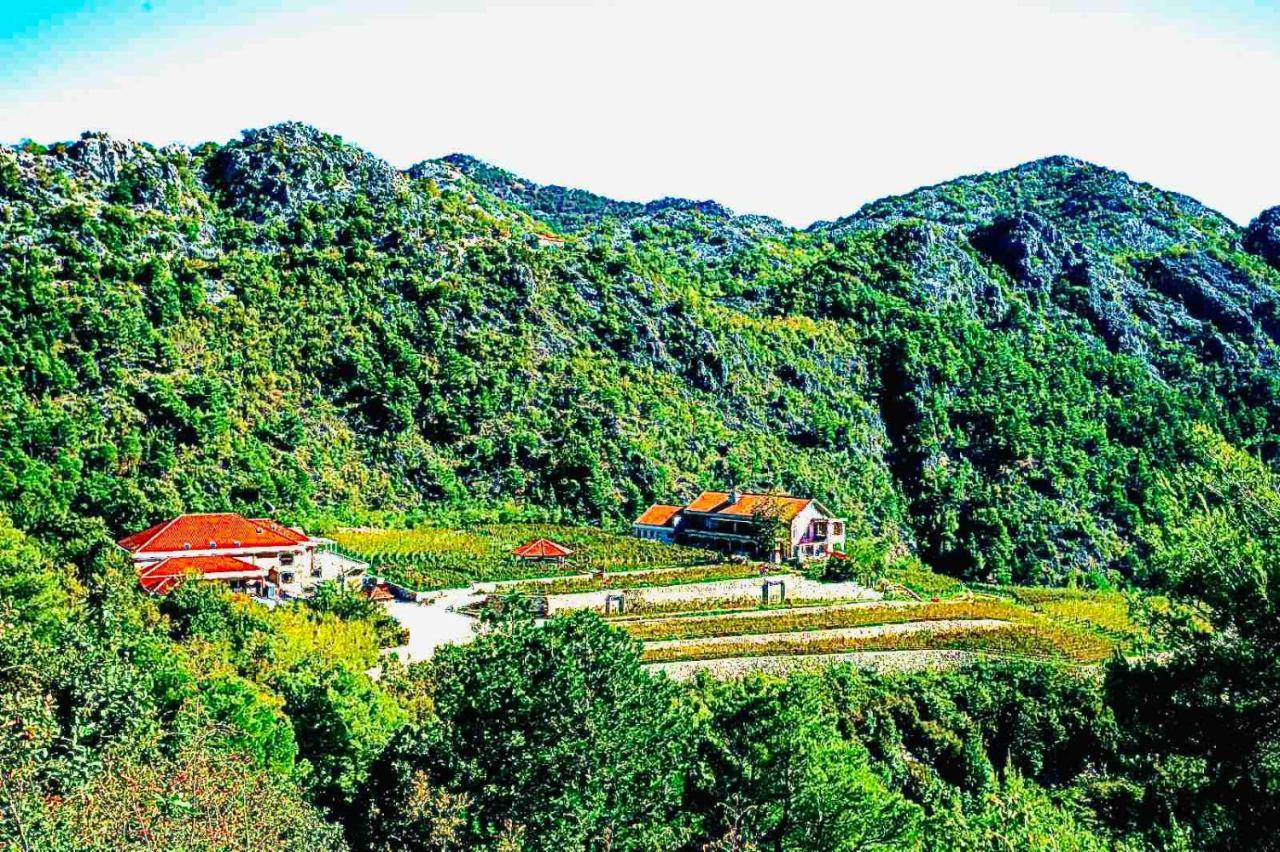 Eco Winery Lipovac Apartments Τσέτινιε Εξωτερικό φωτογραφία